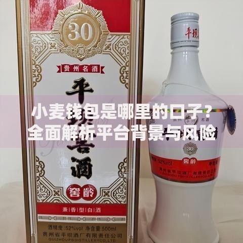 小麦钱包是哪里的口子？全面解析平台背景与风险
