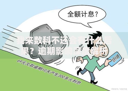我来数科不还会有什么后果？逾期影响深度解析