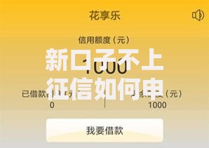 新口子不上征信如何申请？贷款必知流程解析