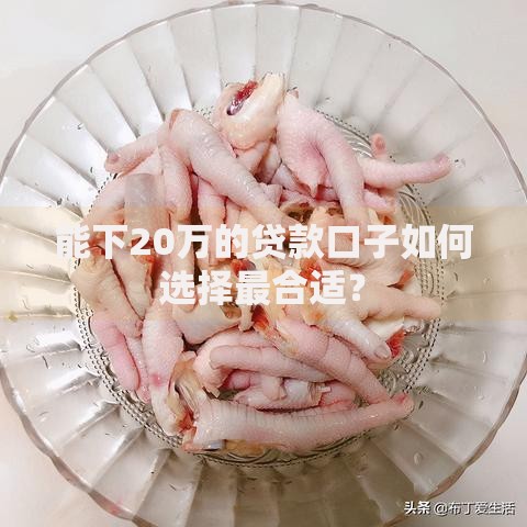 能下20万的贷款口子如何选择最合适？
