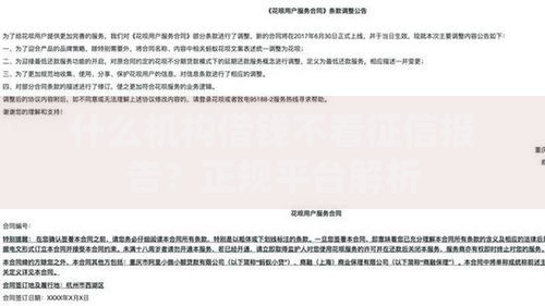 什么机构借钱不看征信报告？正规平台解析