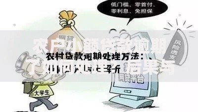 农户小额贷款逾期了如何处理？后果与应对措施解析