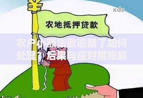 农户小额贷款逾期了如何处理？后果与应对措施解析
