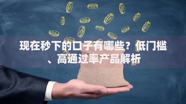 现在秒下的口子有哪些？低门槛、高通过率产品解析