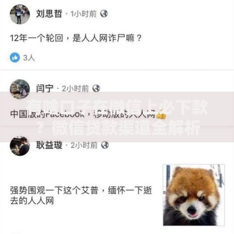 有啥口子在微信上必下款？微信贷款渠道全解析