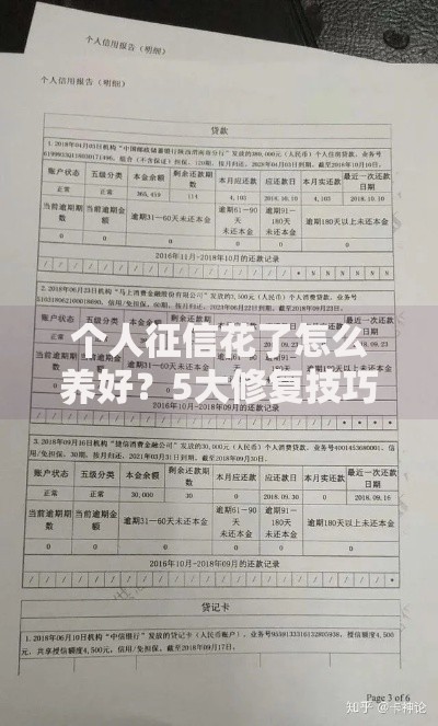 个人征信花了怎么养好？5大修复技巧助你快速恢复