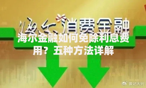 海尔金融如何免除利息费用？五种方法详解