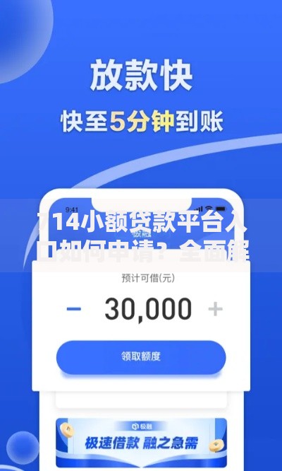714小额贷款平台入口如何申请？全面解析流程与注意事项