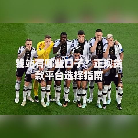 钱站有哪些口子？正规贷款平台选择指南