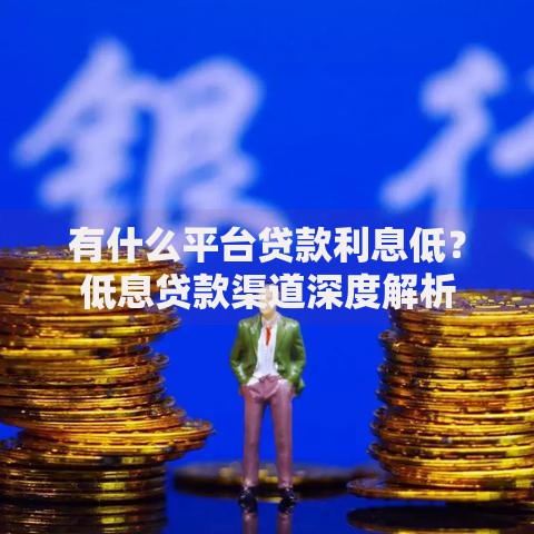 有什么平台贷款利息低？低息贷款渠道深度解析