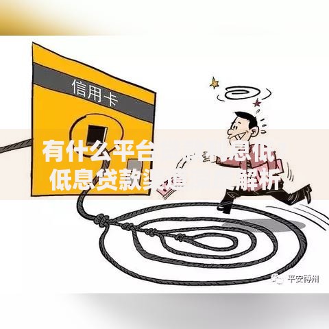 有什么平台贷款利息低？低息贷款渠道深度解析