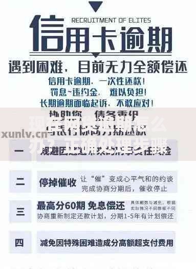 现在网贷逾期怎么办？正确处理步骤及应对策略解析