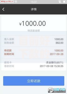 目前好下款的小贷口子有哪些？最新低门槛平台评测