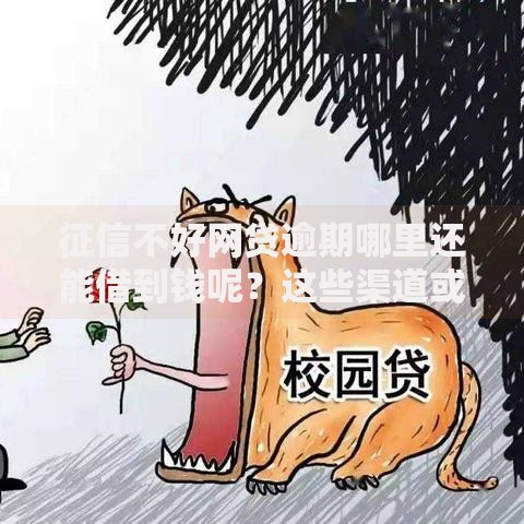 征信不好网贷逾期哪里还能借到钱呢？这些渠道或许能帮你