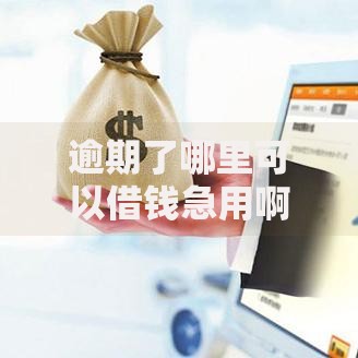 逾期了哪里可以借钱急用啊电话客服哪些渠道更安全可靠？