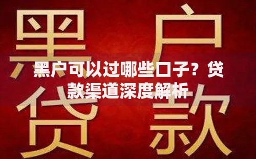 黑户可以过哪些口子？贷款渠道深度解析