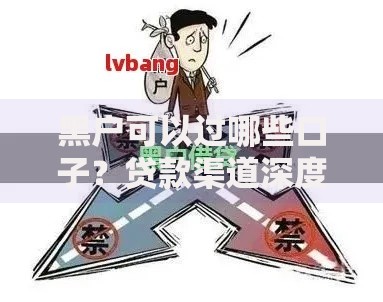 黑户可以过哪些口子？贷款渠道深度解析