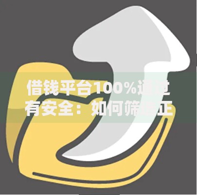 借钱平台100%通过有安全：如何筛选正规渠道？