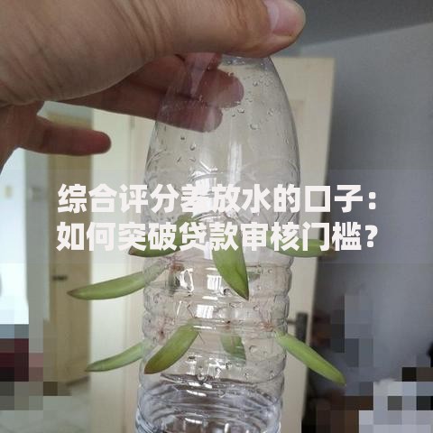 综合评分差放水的口子：如何突破贷款审核门槛？