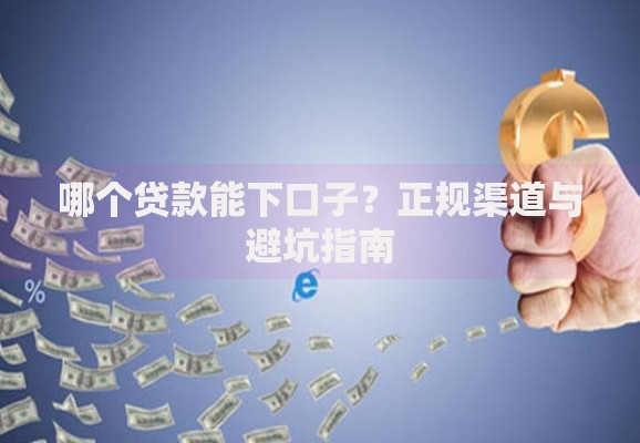 哪个贷款能下口子？正规渠道与避坑指南