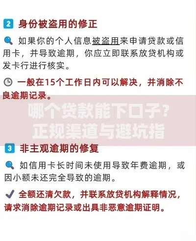 哪个贷款能下口子？正规渠道与避坑指南