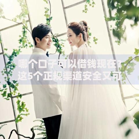 哪个口子可以借钱现在？这5个正规渠道安全又可靠