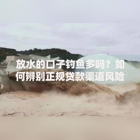 放水的口子钓鱼多吗？如何辨别正规贷款渠道风险