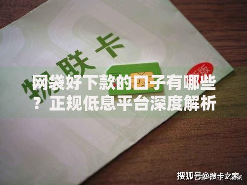网袋好下款的口子有哪些？正规低息平台深度解析