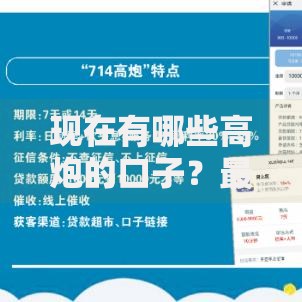 现在有哪些高炮的口子？最新审核渠道与风险防范详解