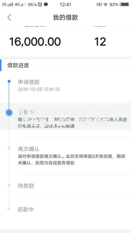 有负债逾期真正能下款的平台是什么？深度解析