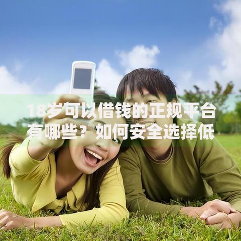18岁可以借钱的正规平台有哪些？如何安全选择低息渠道