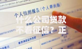 什么公司贷款不看征信？正规机构与申请条件解析