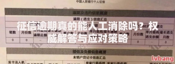 征信逾期真的能人工消除吗？权威解答与应对策略