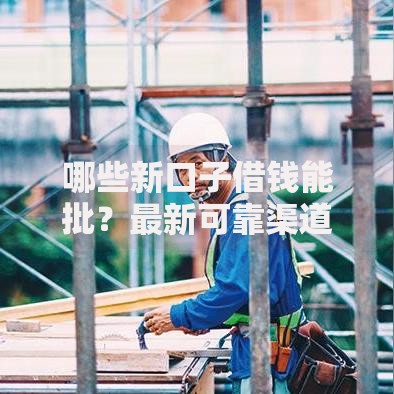 哪些新口子借钱能批？最新可靠渠道深度解析