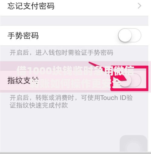 借1000块钱临时急用微信转账如何操作更安全
