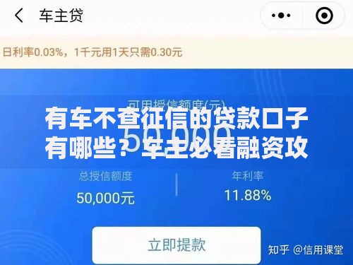 有车不查征信的贷款口子有哪些？车主必看融资攻略