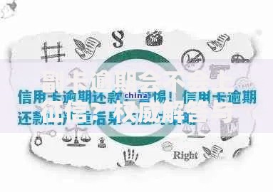 副卡逾期会不会上征信？权威解答与应对策略