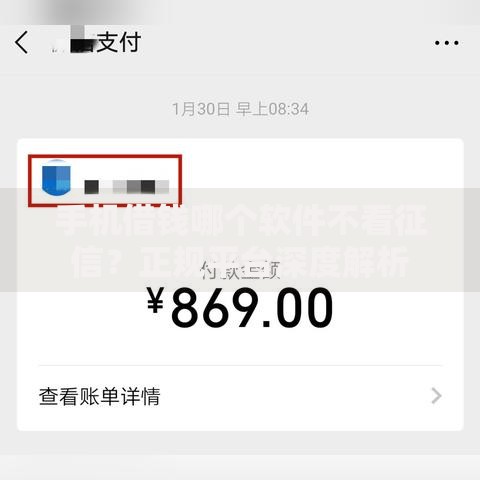手机借钱哪个软件不看征信？正规平台深度解析