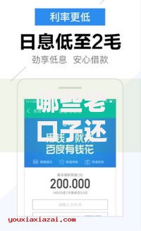 哪些老口子还在下款？最新审核条件解析