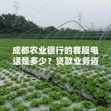 成都农业银行的客服电话是多少？贷款业务咨询与办理指南