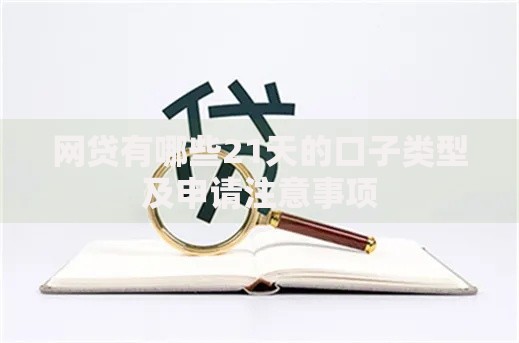 网贷有哪些21天的口子类型及申请注意事项