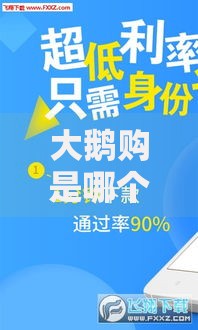 大鹅购是哪个系列的口子？全面解析贷款平台背景与风险