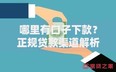 哪里有口子下款？正规贷款渠道解析与申请攻略