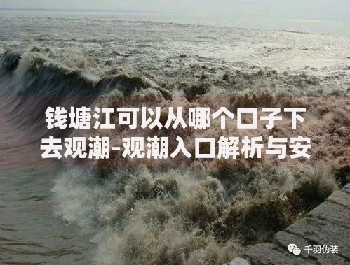 钱塘江可以从哪个口子下去观潮-观潮入口解析与安全指南