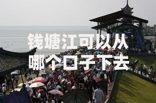 钱塘江可以从哪个口子下去观潮-观潮入口解析与安全指南