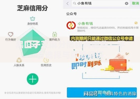 黑口子芝麻分借钱有哪些？平台选择与风险解析