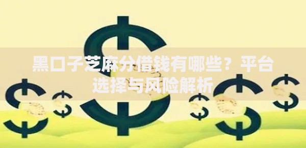 黑口子芝麻分借钱有哪些？平台选择与风险解析