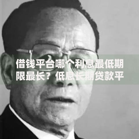 借钱平台哪个利息最低期限最长？低息长期贷款平台解析