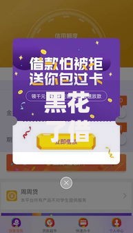 黑花了借款口子必下如何快速通过审核？