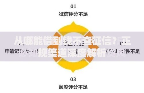 从哪能借到钱不查征信？正规渠道深度解析